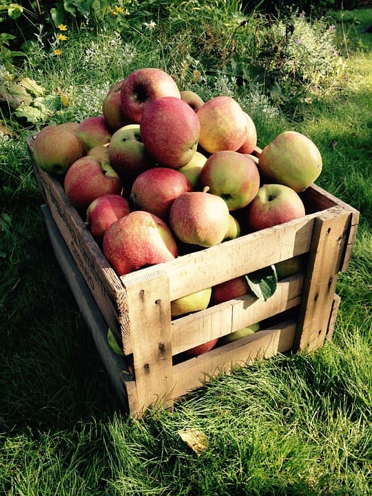Caisse de pommes